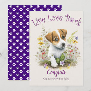 Tarjeta Adopción de Perros Jack Russell, Día de la Llegada