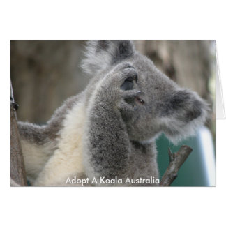 Tarjeta Adoptar un koala Australia Pata