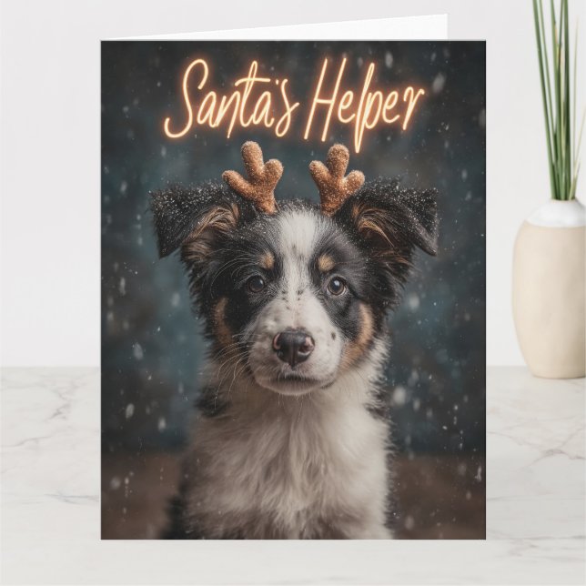 Tarjeta Adorable cachorro de Border Collie como ayudante d (Anverso)