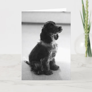 Tarjeta Adorable Cocker Spaniel Greetings Card