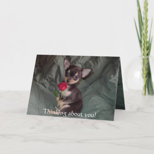 Tarjeta Adorable Cute Baby Chihuahua Merry Rose