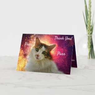 Tarjeta Adorable Cute Calico Cat