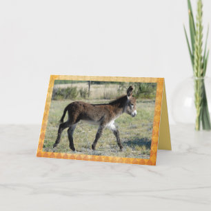 Tarjeta adorable de la enhorabuena del burro del