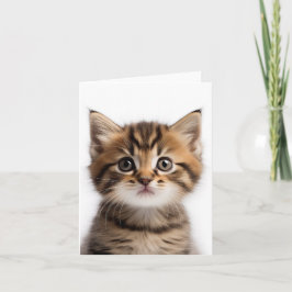 Tarjeta Adorable Kitten