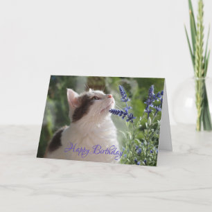 Tarjeta ¡Adorable Kitten de Cumpleaños en el Jardín!