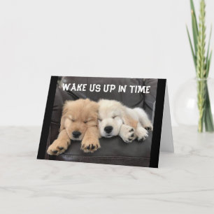 TARJETA ADORABLE NAPPING PUPS QUE DESEA "FELIZ CUMPLEAÑOS"