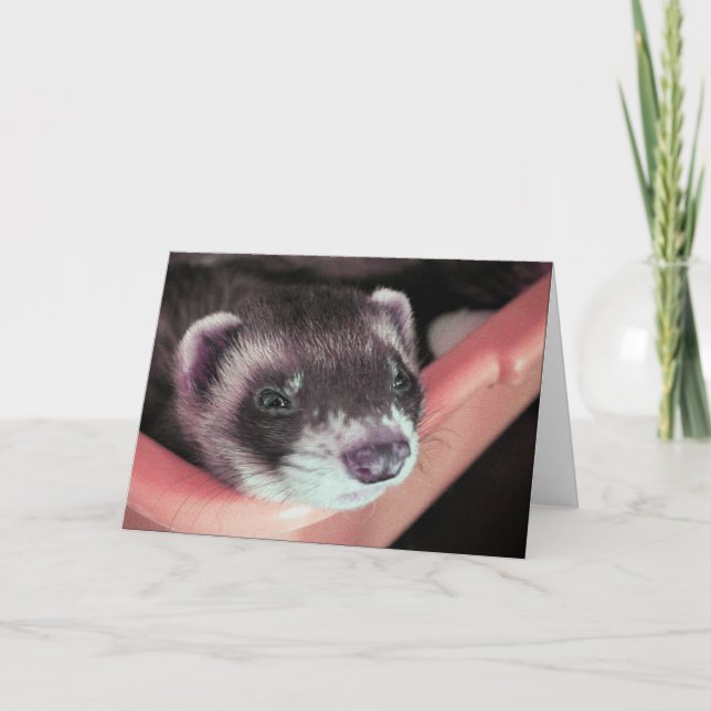 Tarjeta Adorable Sable Ferret Photo Birday (Anverso)