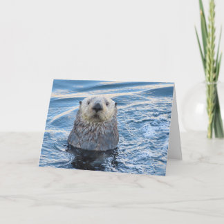 Tarjeta Adorable Sea Otter Peeks