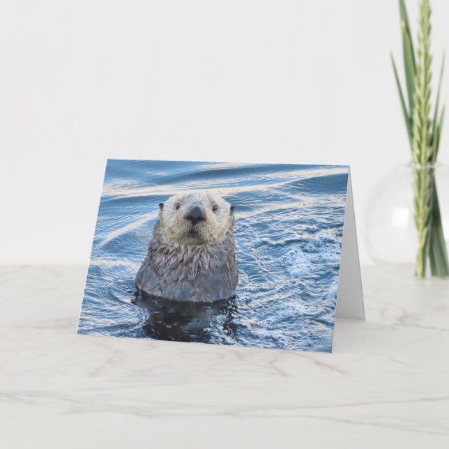 Tarjeta Adorable Sea Otter Peeks (Anverso)