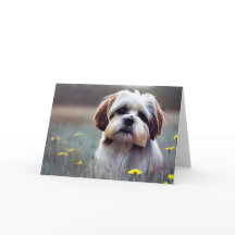 Adorable Shih Tzu Cumpleaños