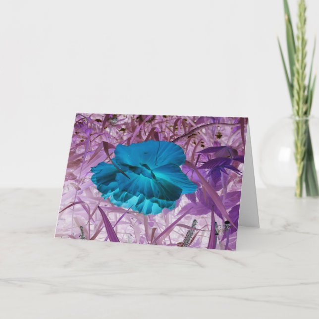 Tarjeta "Adormidera azul" Foto Editada Digitalmente: Flor, (Anverso)