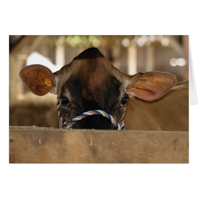 Tarjeta aérea del condado (Anverso (Horizontal))