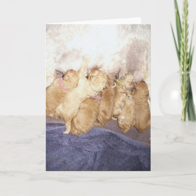 Tarjeta Aero-10 (Anverso)