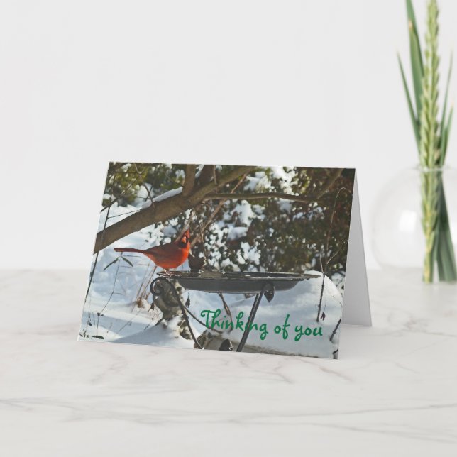 Tarjeta AF- Cardenal en el pensamiento de la nieve de su t (Anverso)
