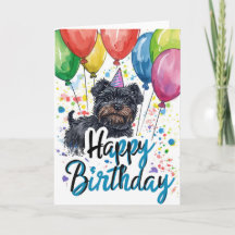 Affenpinscher con globos Cumpleaños