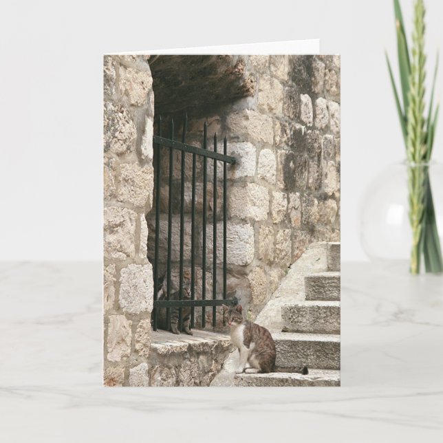 Tarjeta "afiánceme hacia fuera" cardan (el espacio en (Anverso)