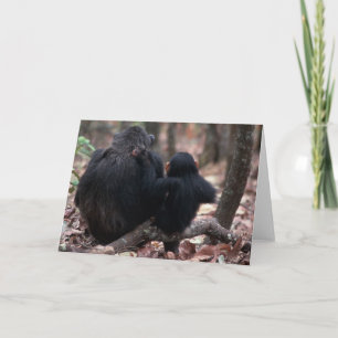 Tarjeta África, la África del Este, Tanzania, nacional de