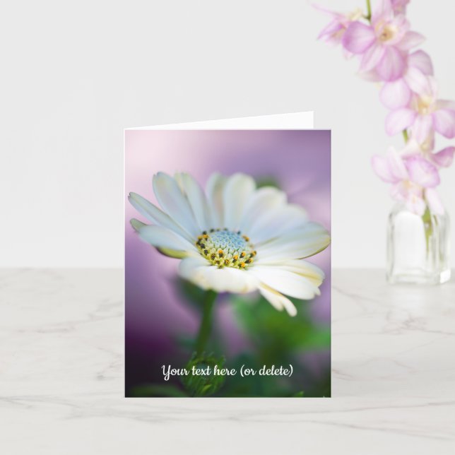Tarjeta African Daisy Greeting Card (Orquídea)