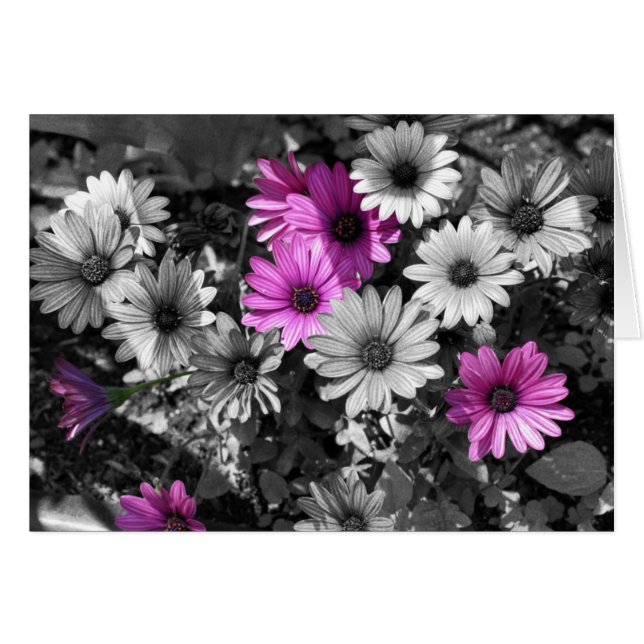 Tarjeta Africana De Flores Negra Y Blanca (Anverso (Horizontal))