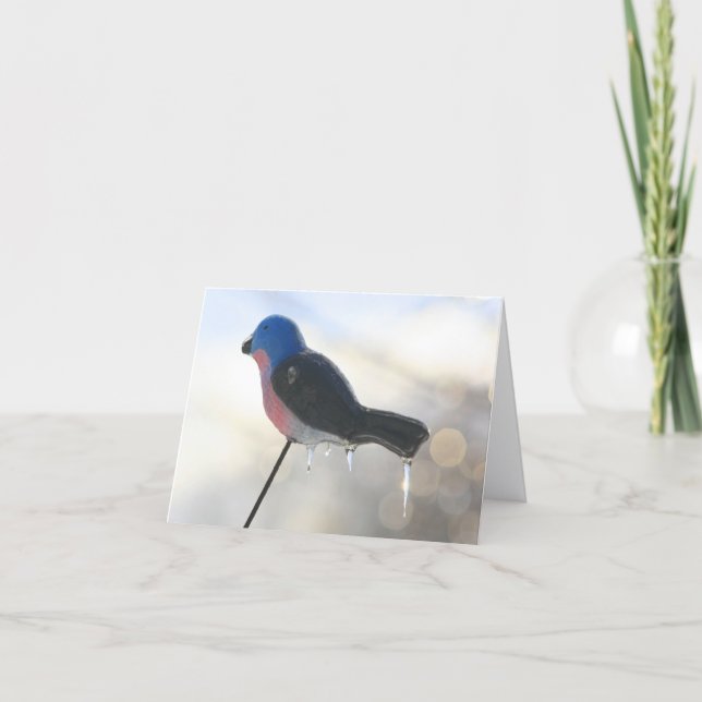 Tarjeta After The Storm Winter Nature Photography Note (Anverso)