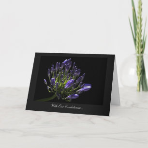 Tarjeta Agapanthus, Lily Africana - Con Nuestras Condolenc