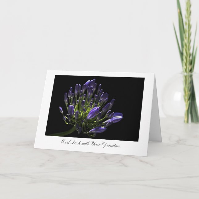 Tarjeta Agapanthus, lirio africano, buena suerte con la (Anverso)