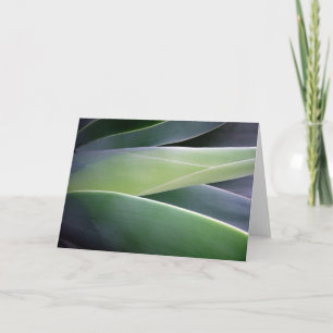 Tarjeta Agave Leaves