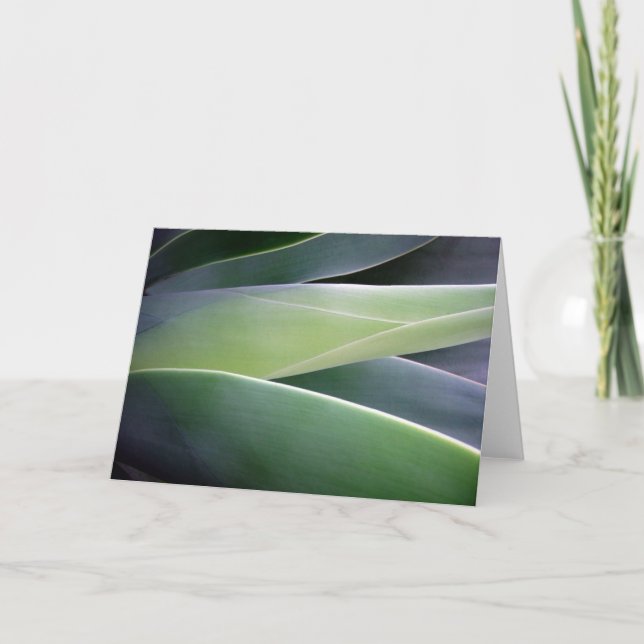 Tarjeta Agave Leaves (Anverso)