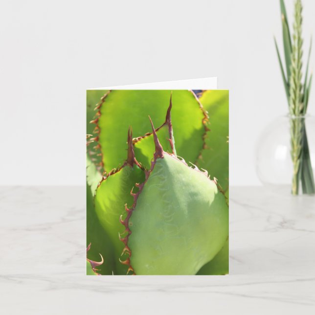 Tarjeta Agave notecard verde (Anverso)