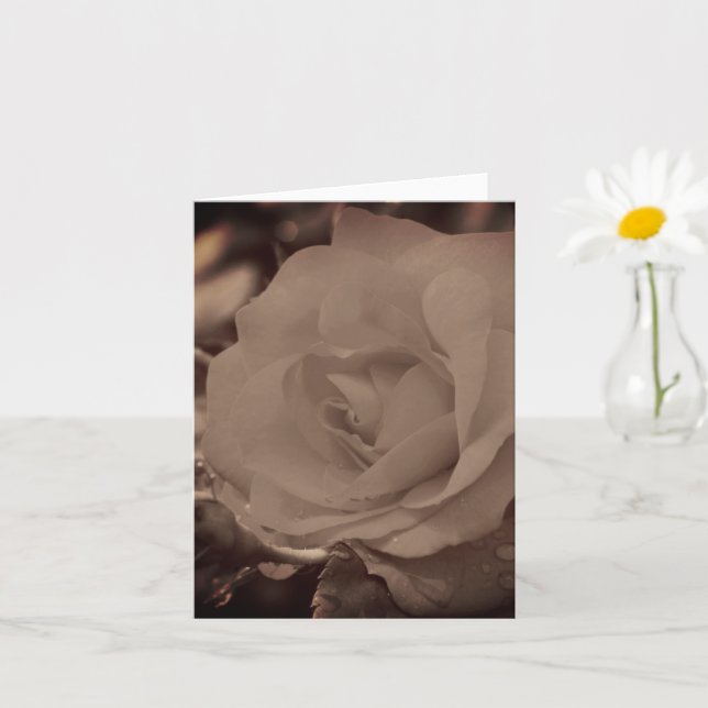Tarjeta Aged Vintage Sepia Rose Flower Note (Planta pequeña)
