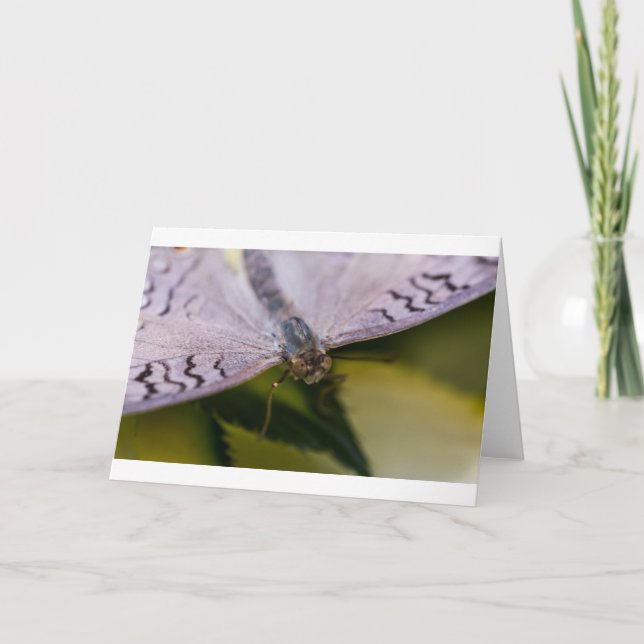 Tarjeta Agradable encontrarle (Anverso)