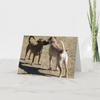 Tarjeta ¡Agradable encontrarle!