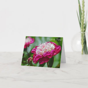 Tarjeta Agradecimiento a la flor de Peony Garden de la Cab