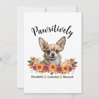 Tarjeta Agradecimiento paquistaní al bendecido perro bandi