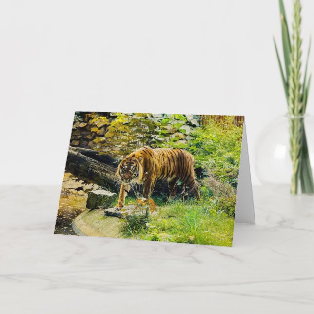 Tarjeta AGREGA TU PROPIO TEXTO Tigre (Anverso)