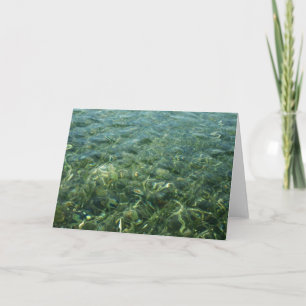 Tarjeta Agua sobre hierba marina I Naturaleza del Caribe