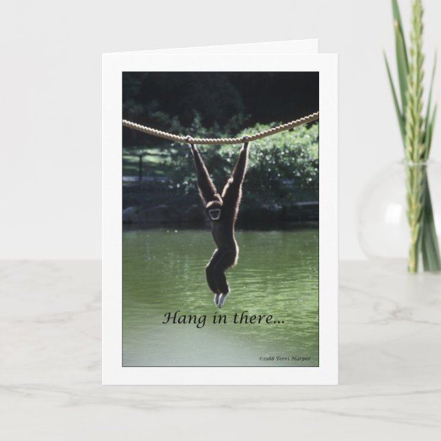 Tarjeta Aguanta (Anverso)