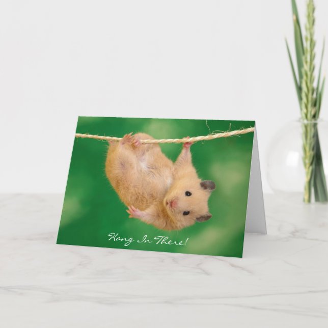 Tarjeta ¡Aguanta! Hamster (Anverso)