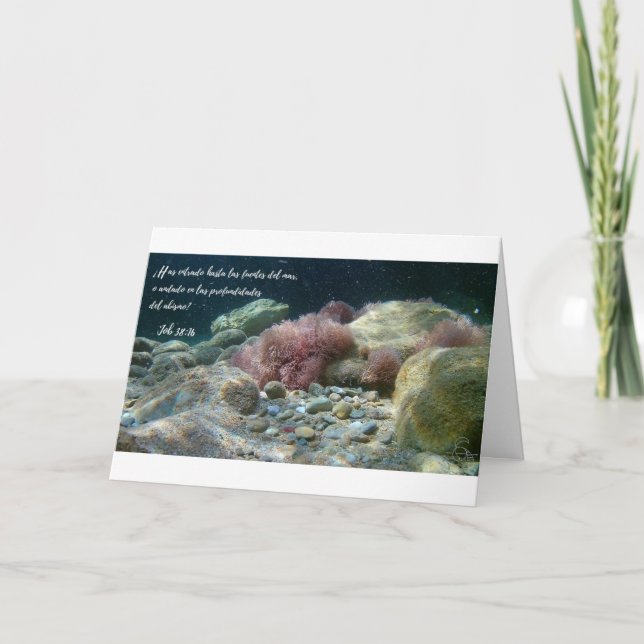 Tarjeta Aguas Antiguas - Trabajo 38:16 (Anverso)