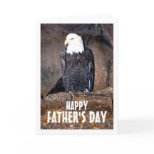 Águila Calva Americana en Nido