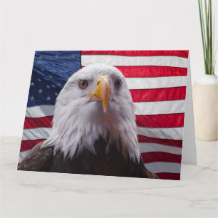 Tarjeta águila calva americana y bandera americana