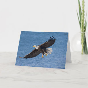 Tarjeta Águila calva en vuelo