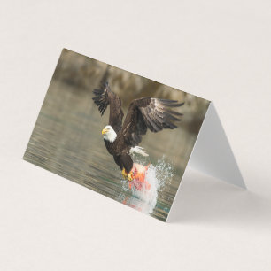 Tarjeta Águila calva explosiva