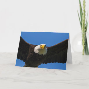 Tarjeta Aguila calva pasa cerca