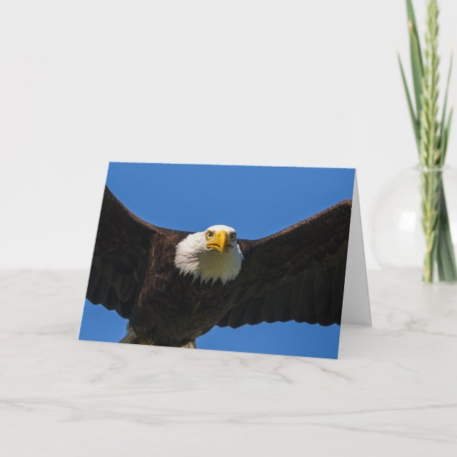 Tarjeta Aguila calva pasa cerca (Anverso)
