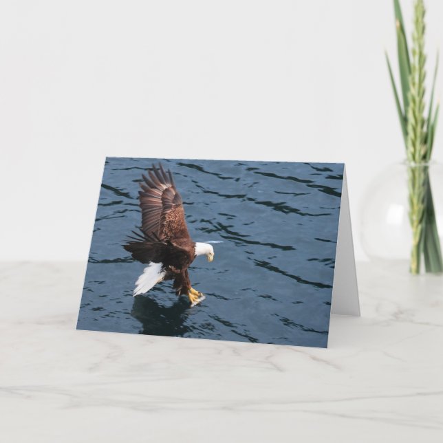 Tarjeta Águila de Alaska sobre el agua (Anverso)
