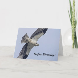 Tarjeta Águila pescadora en vuelo