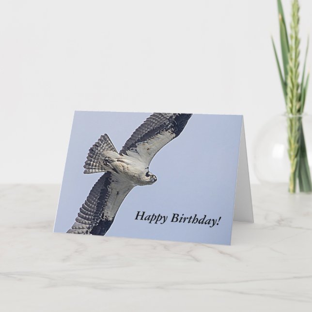 Tarjeta Águila pescadora en vuelo (Anverso)