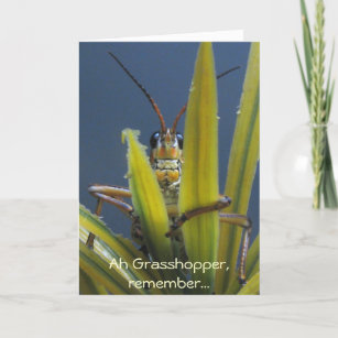 Tarjeta Ah Grasshopper ~ Funny Happy Birday Card