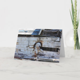 Tarjeta Ahoy Matey card